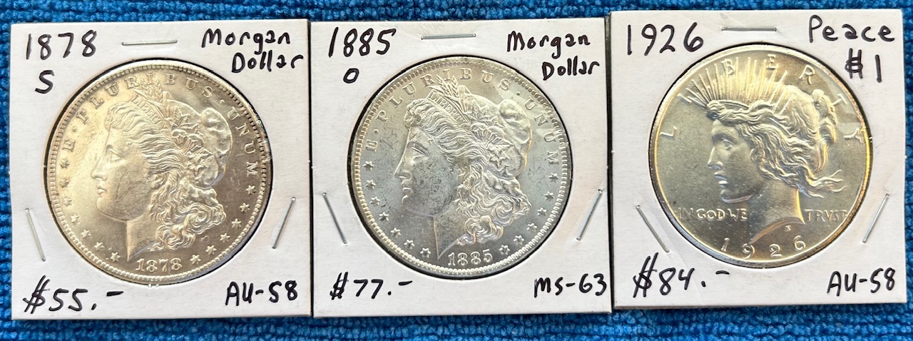 Started-A-Dansco-7172---1878-To-1999-Dollar-Date-Set