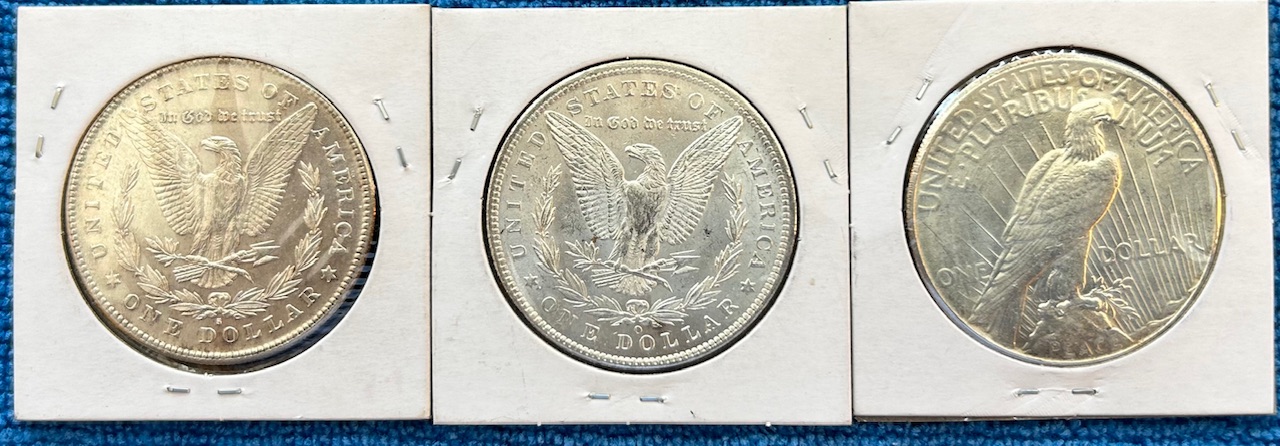 Started-A-Dansco-7172---1878-To-1999-Dollar-Date-Set