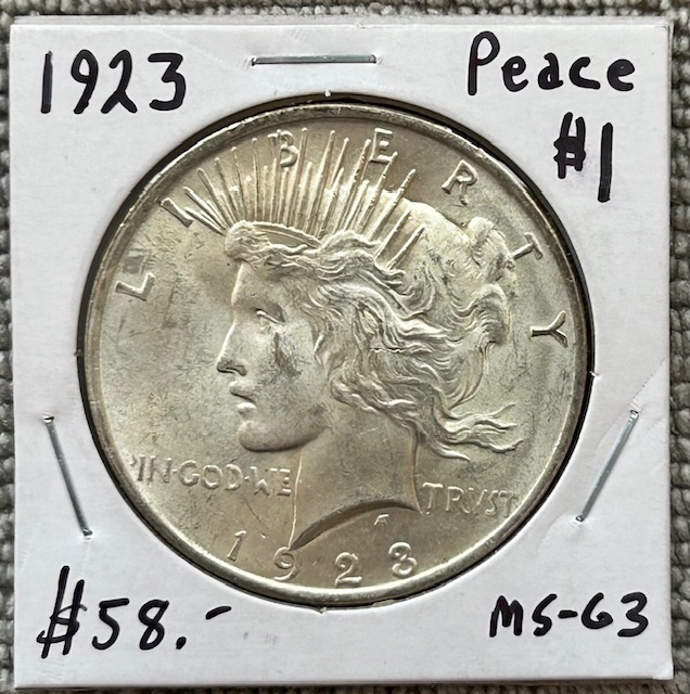 Started-A-Dansco-7172---1878-To-1999-Dollar-Date-Set