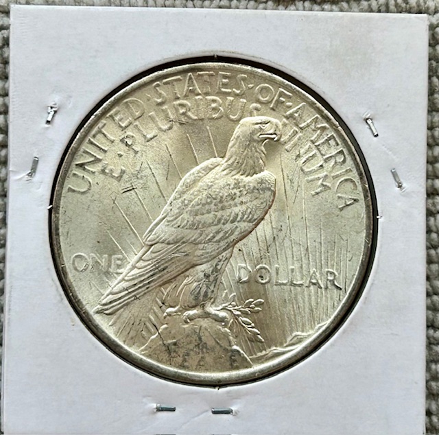 Started-A-Dansco-7172---1878-To-1999-Dollar-Date-Set