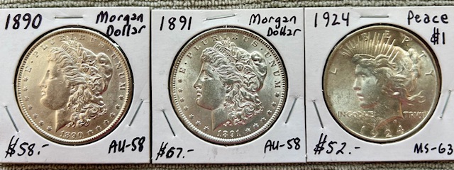 Started-A-Dansco-7172---1878-To-1999-Dollar-Date-Set