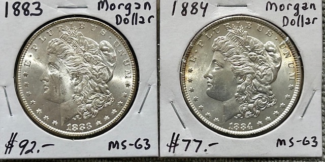 Started-A-Dansco-7172---1878-To-1999-Dollar-Date-Set