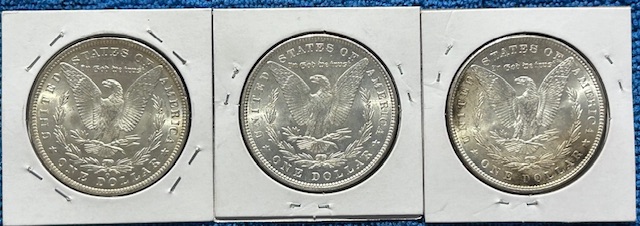 Started-A-Dansco-7172---1878-To-1999-Dollar-Date-Set
