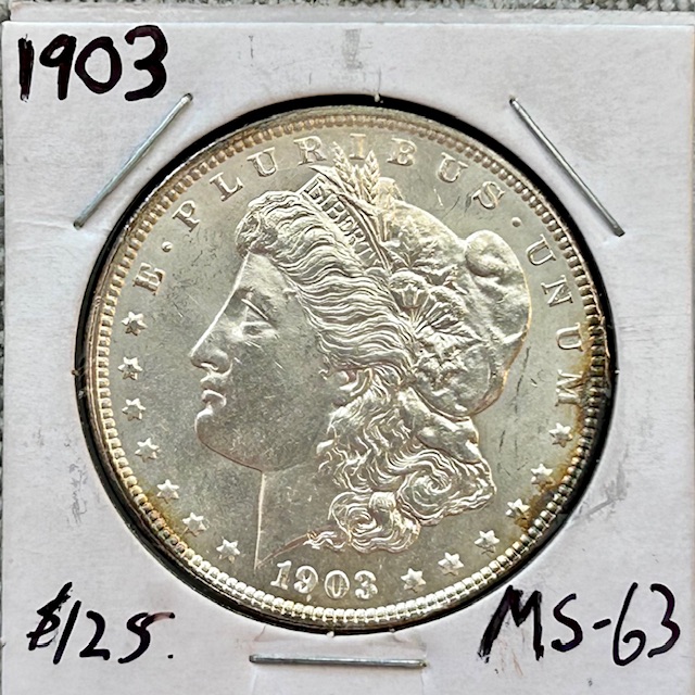 Started-A-Dansco-7172---1878-To-1999-Dollar-Date-Set