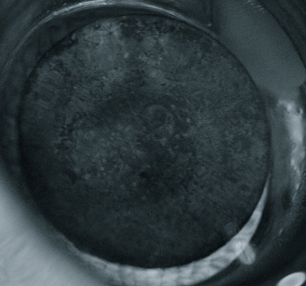 2-Cent-Coin-Seeing-The-Beauty-In-The-Beast