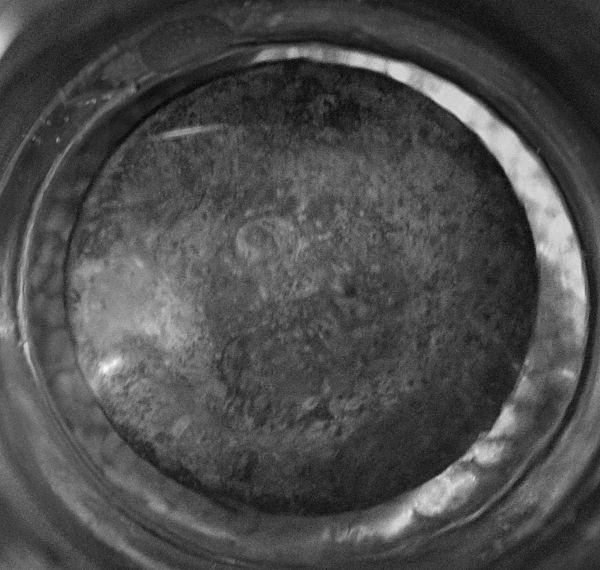 2-Cent-Coin-Seeing-The-Beauty-In-The-Beast