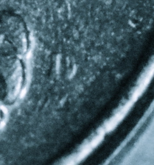 Would-This-Be-A-RPM?-1994-Washington-Quarter