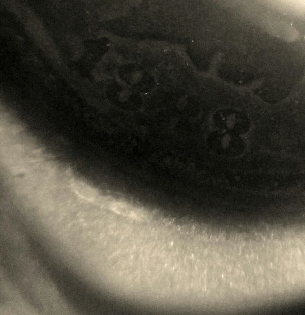 1888/7-IHC?