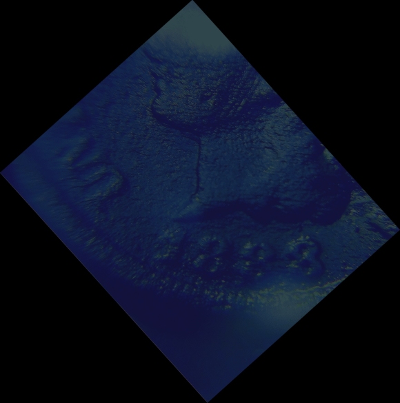 1888/7-IHC?