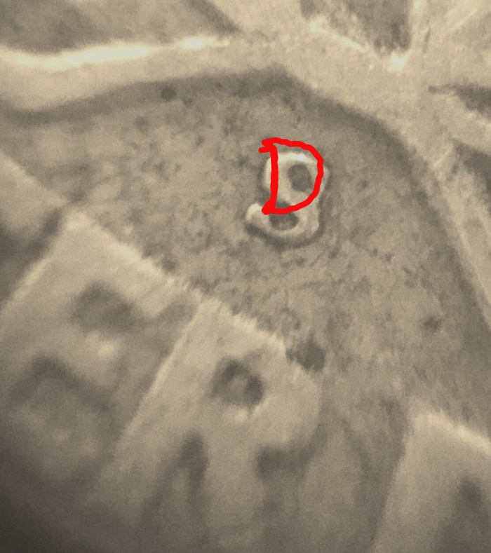 1950-S-Over-D-Washington-Quarter?