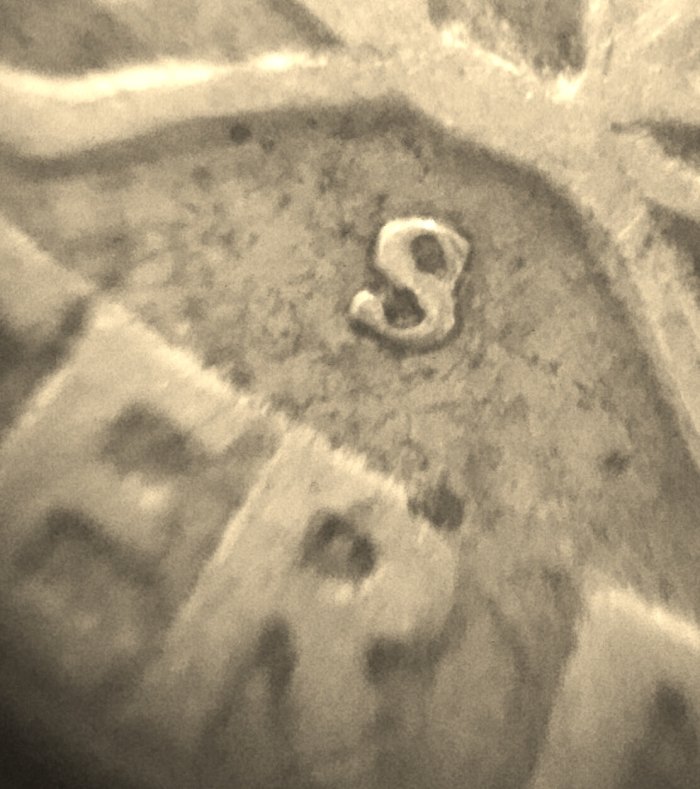 1950-S-Over-D-Washington-Quarter?