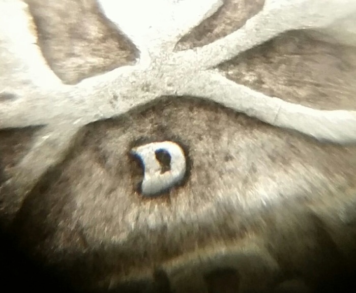 1952-Washington-Quarter.-Decent-D/S-Chance
