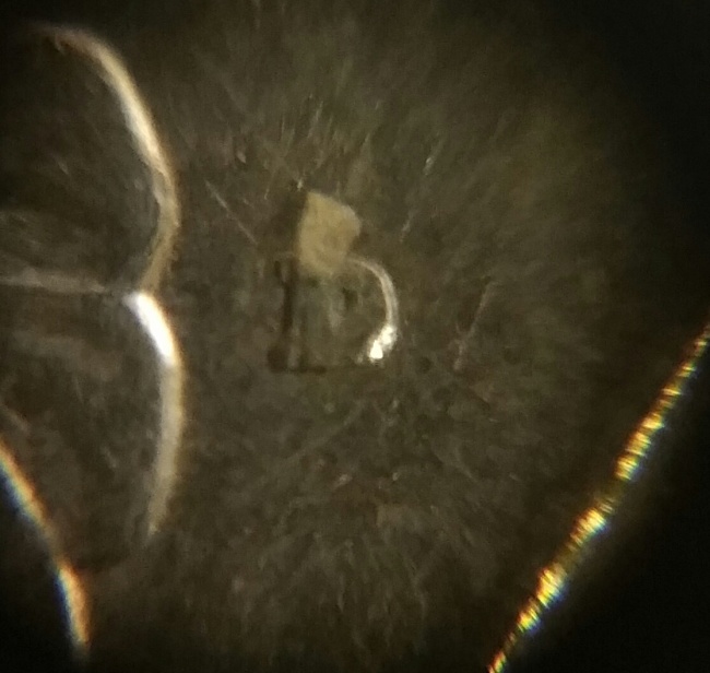 1982-D-Washington-Quarter-RPM-Maybe