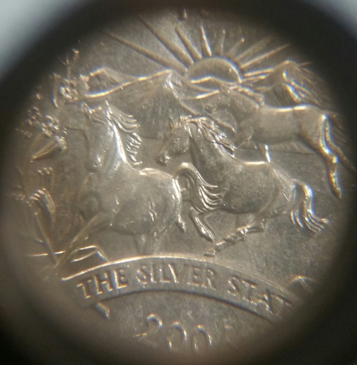2006-Nevada-Quarter.-Die-Chip?