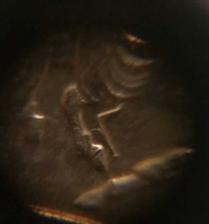 2006-Nevada-Quarter.-Die-Chip?