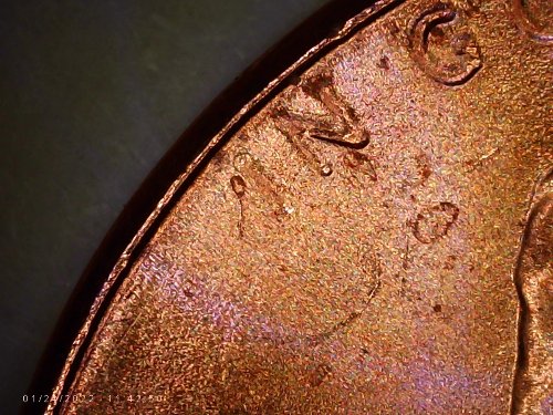 2021-D-Penny--Noticed-The-