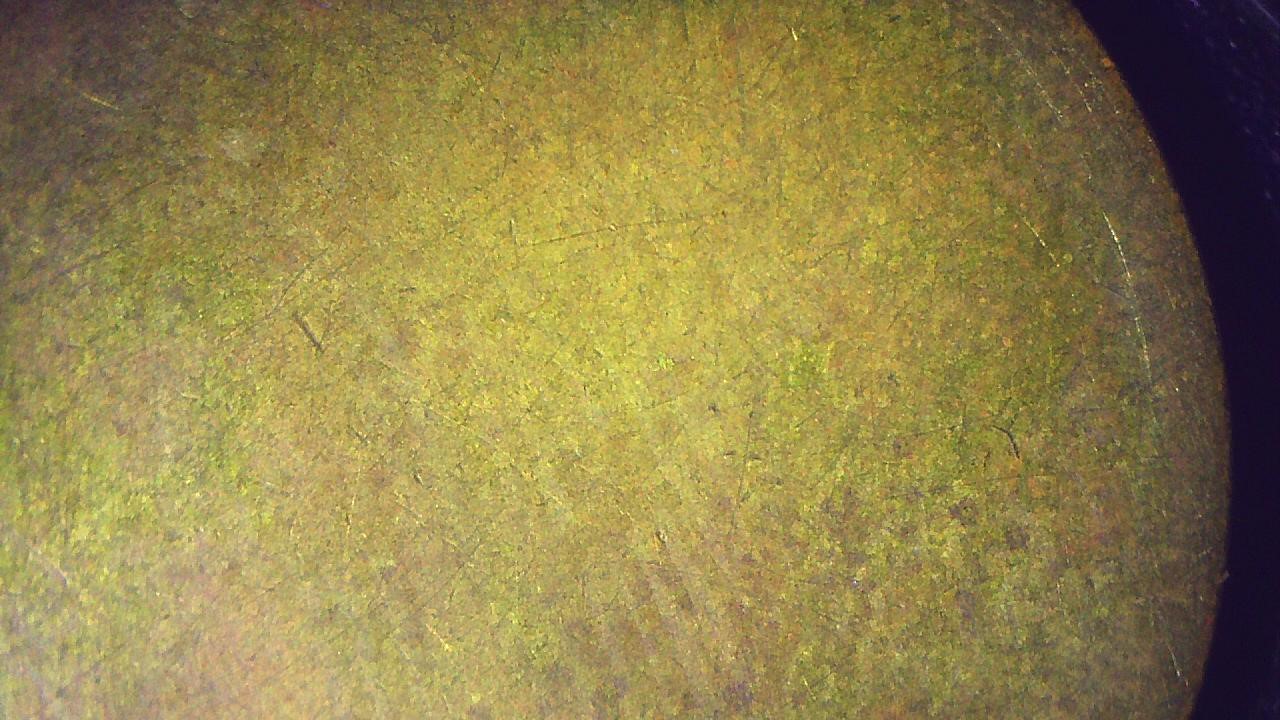 Blank-Planchet-Question