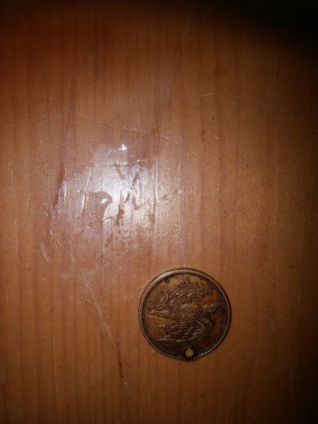 Inaguration-Medallion-Identification?