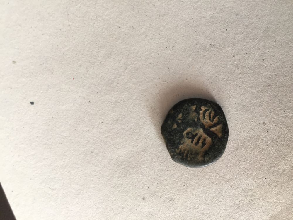 5-Unknown-Coins?