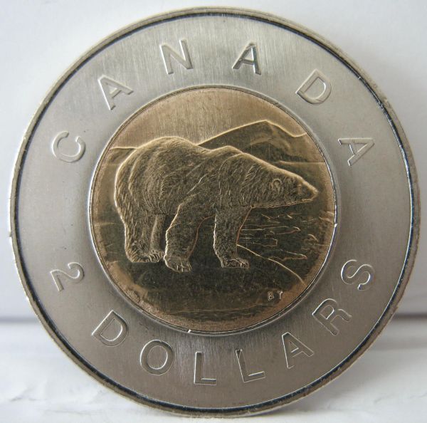 1996-Specimen-Toonie-Wide-Ring-And-Narrow-Ring-Question