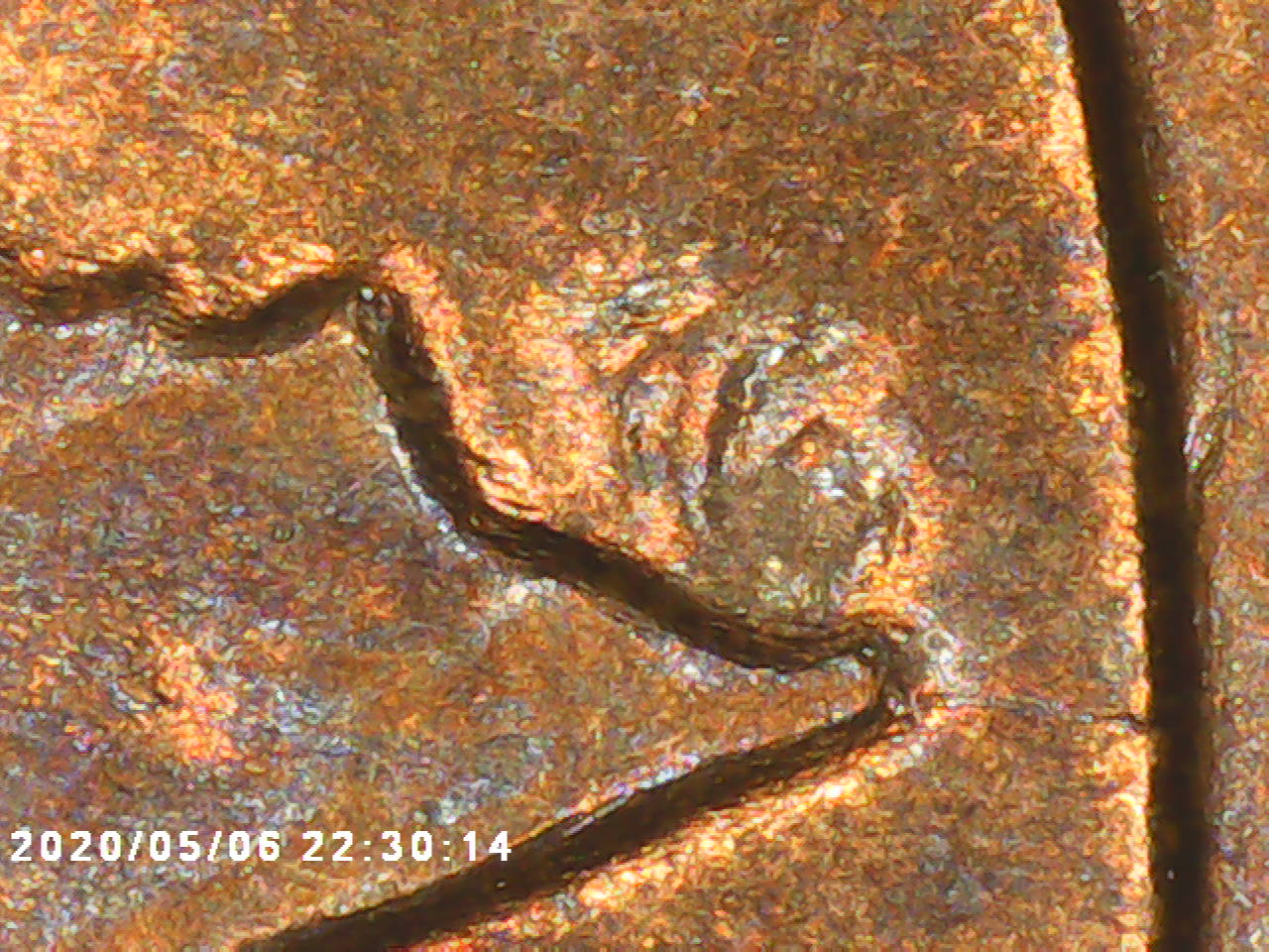 1981-Penny-Cracked-Die