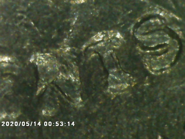 1985-P-Nickel-Error?