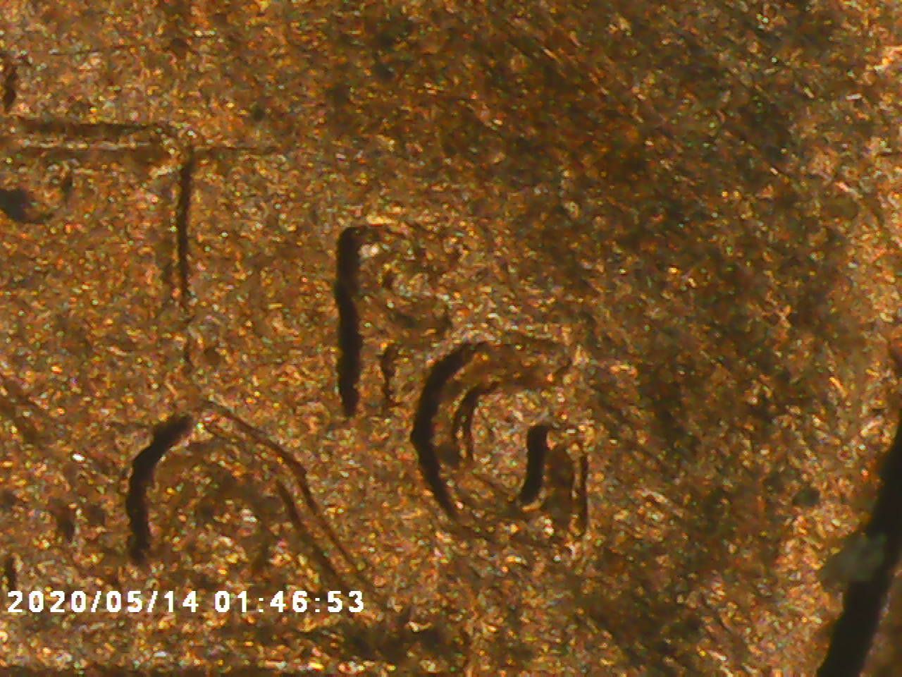1995-DDR-Penny-I-Haven't-Seen-Anything-About-And-Maybe-DDO