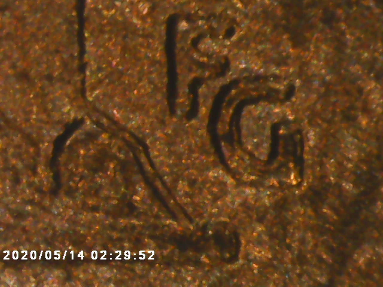 1995-DDR-Penny-I-Haven't-Seen-Anything-About-And-Maybe-DDO