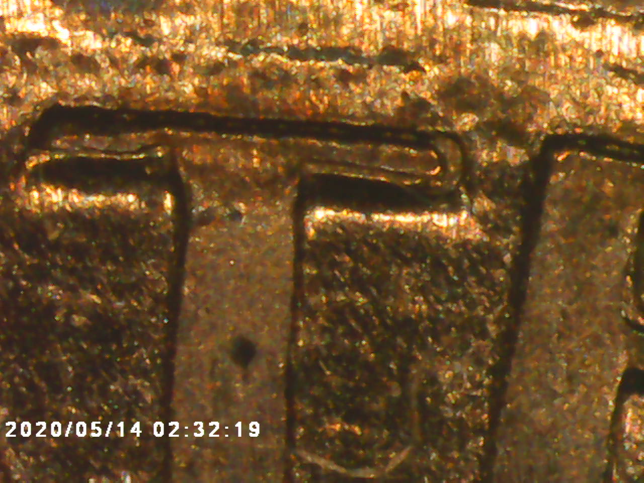 1995-DDR-Penny-I-Haven't-Seen-Anything-About-And-Maybe-DDO