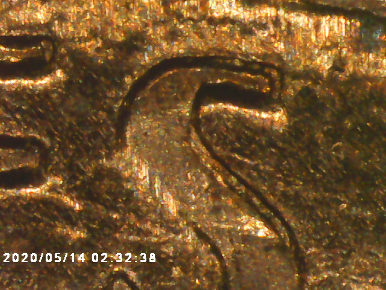 1995-DDR-Penny-I-Haven't-Seen-Anything-About-And-Maybe-DDO