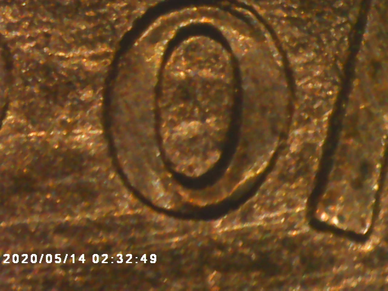 1995-DDR-Penny-I-Haven't-Seen-Anything-About-And-Maybe-DDO