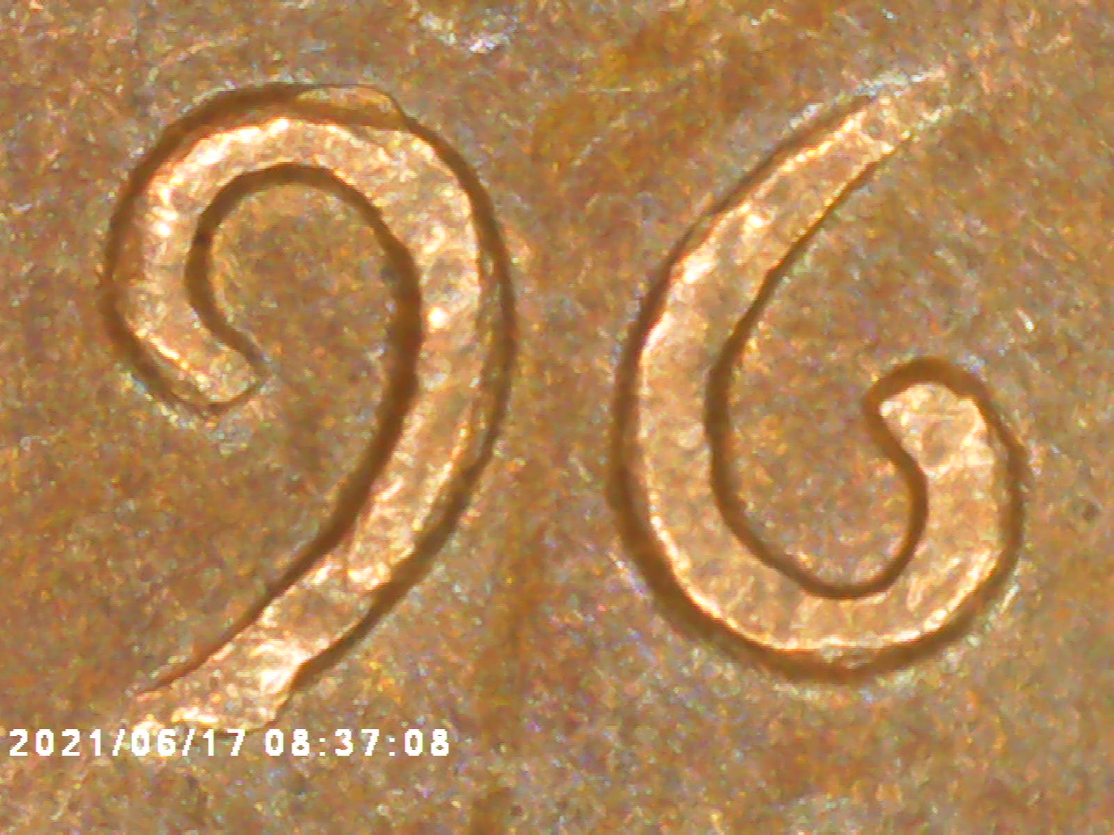 Coop-I-Think-I-Finally-Got-It-1969-D-DDO-001