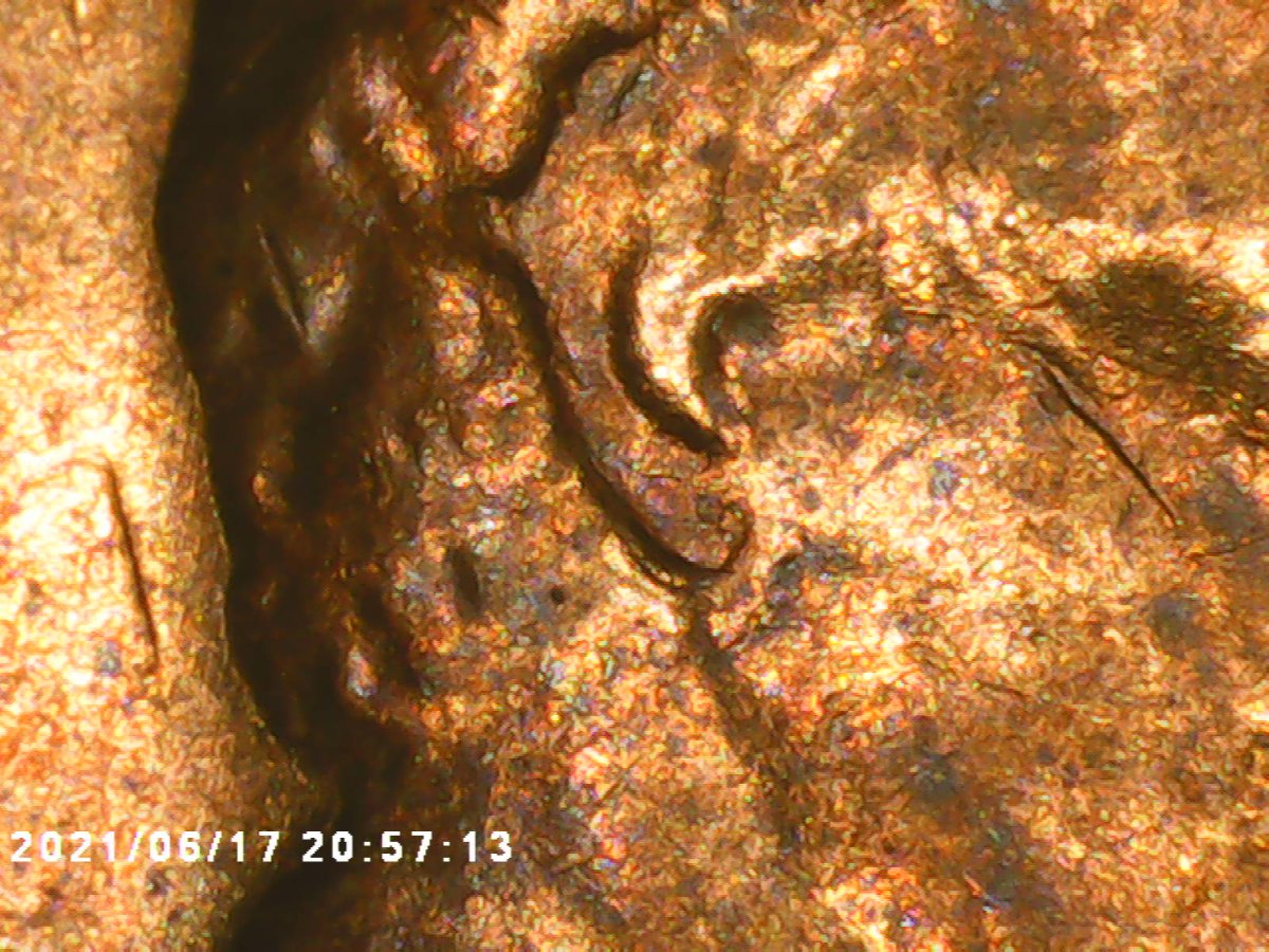 1970-S-Lincoln-Cent:-Is-This-Ear-Doubled?