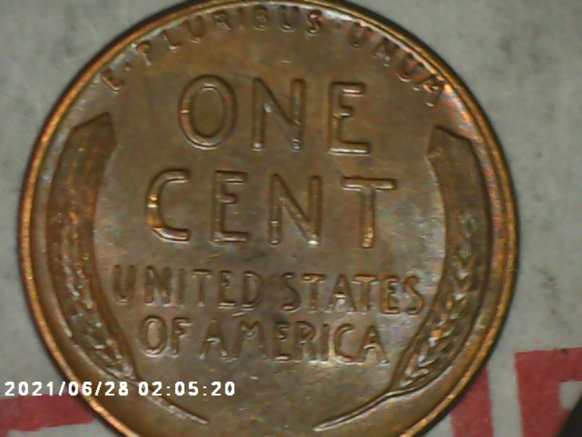 1955-Double-Die-Obverse-Wheat-Penny