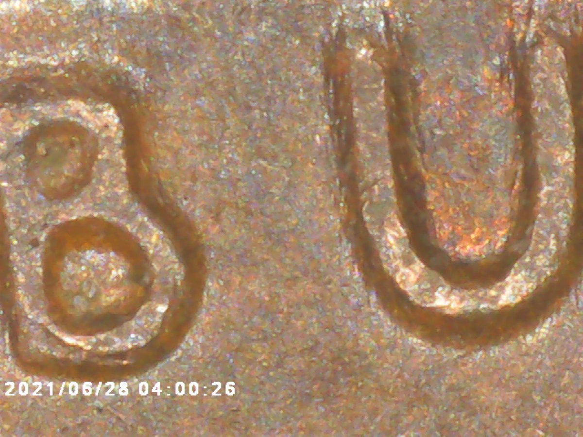 1955-Double-Die-Obverse-Wheat-Penny