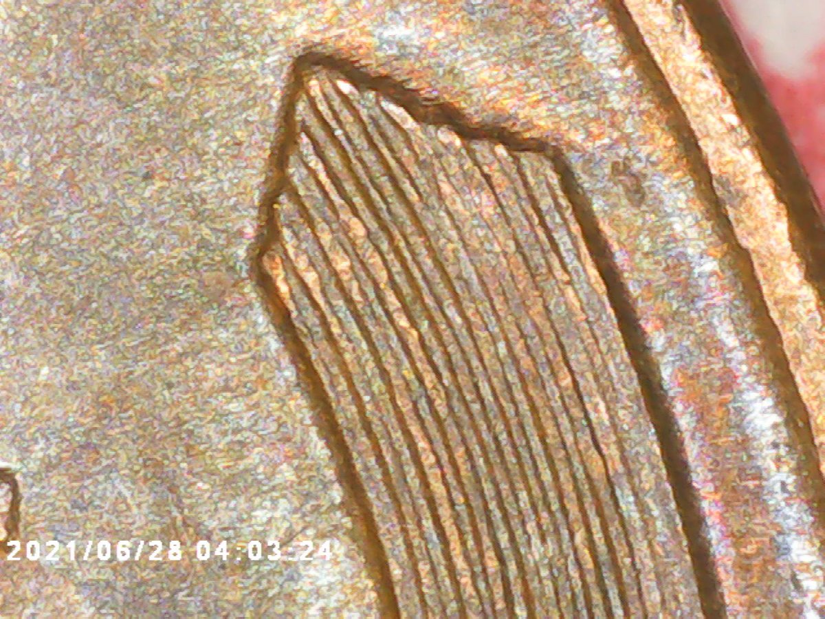 1955-Double-Die-Obverse-Wheat-Penny