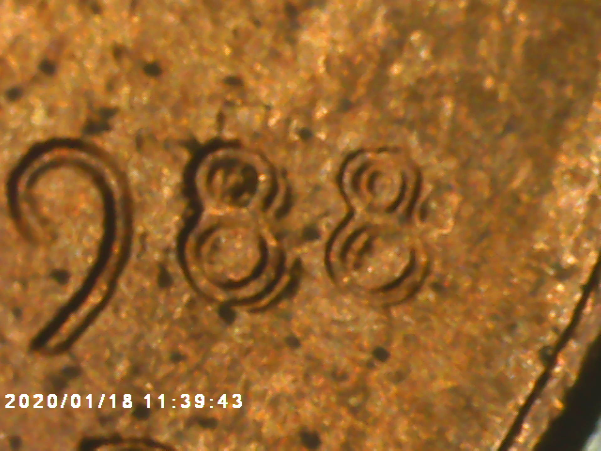 1988-Penny-I-Thought-Was-Machine-Died-But-Closer-Look-Maybe-DD