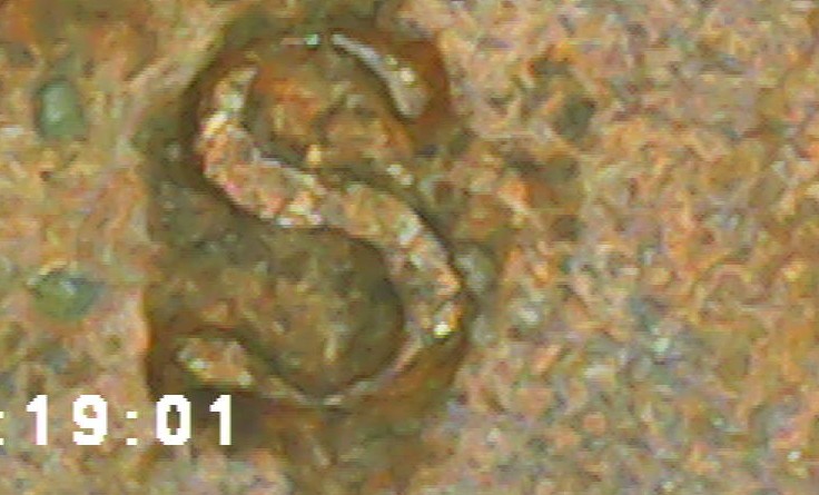 1969-S-Over-Horizontal-S-Penny-With-Floating-Roof-I-Believe