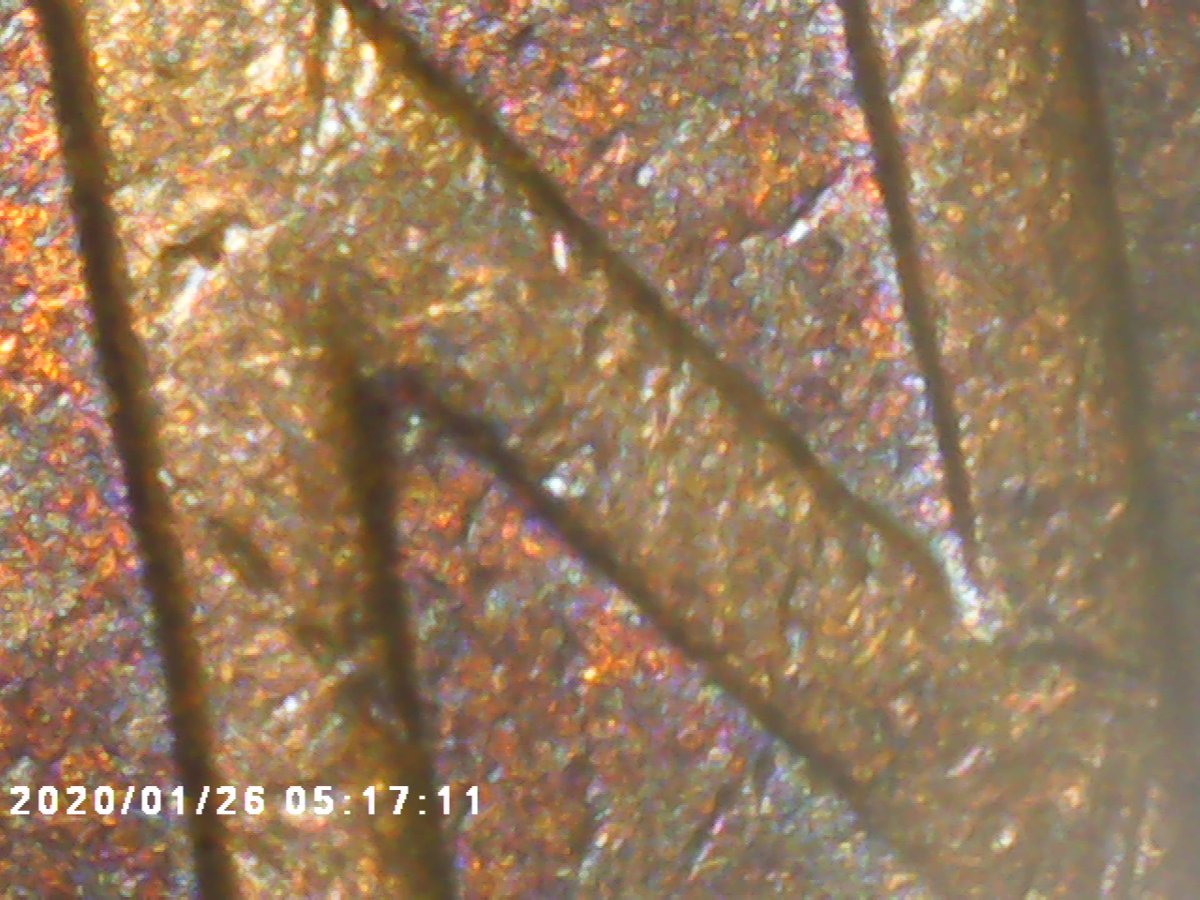 1941-P-WDDO-006-To-023-?