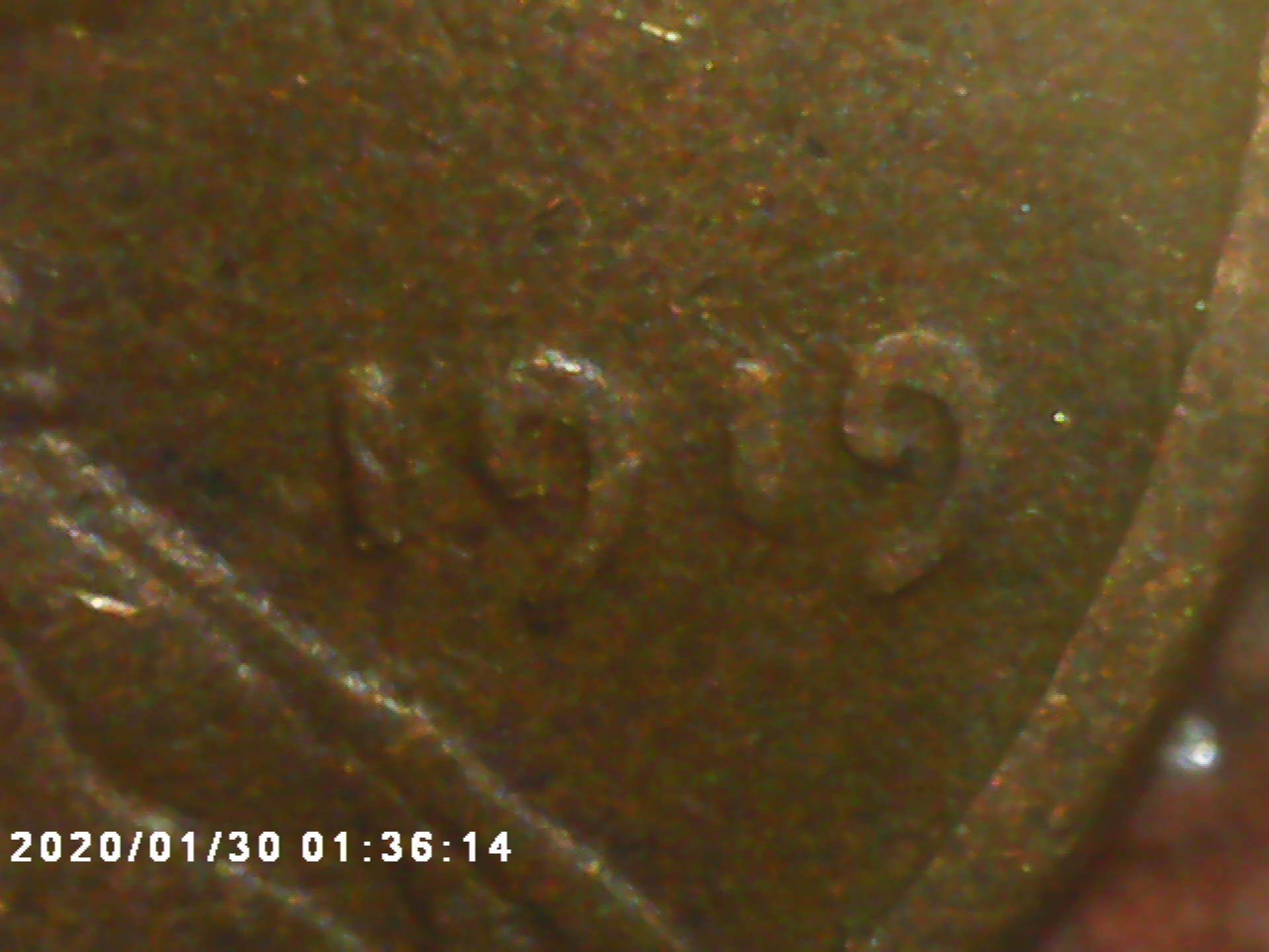 1919-Wheat-Pretty-Worn-Need-To-See-What-You-See