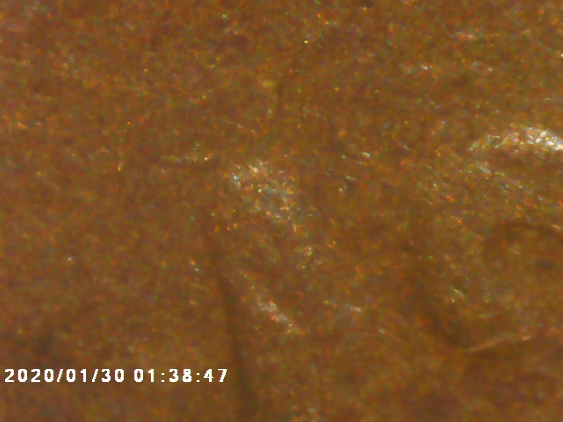 1919-Wheat-Pretty-Worn-Need-To-See-What-You-See