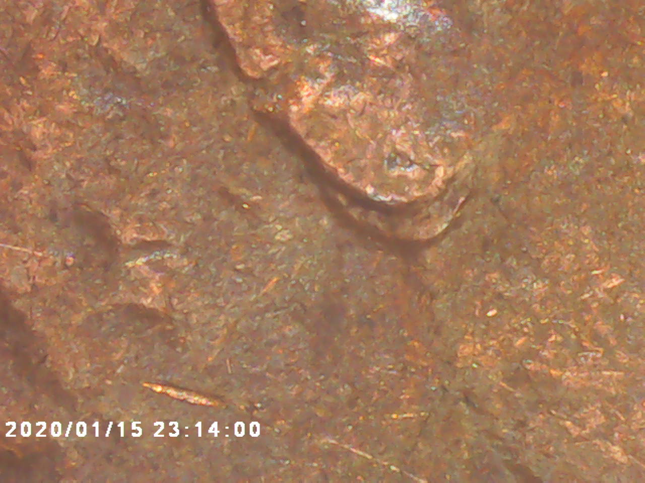 1982-Large-Date-Copper-Penny-Doubling-Probably-Just-Machine