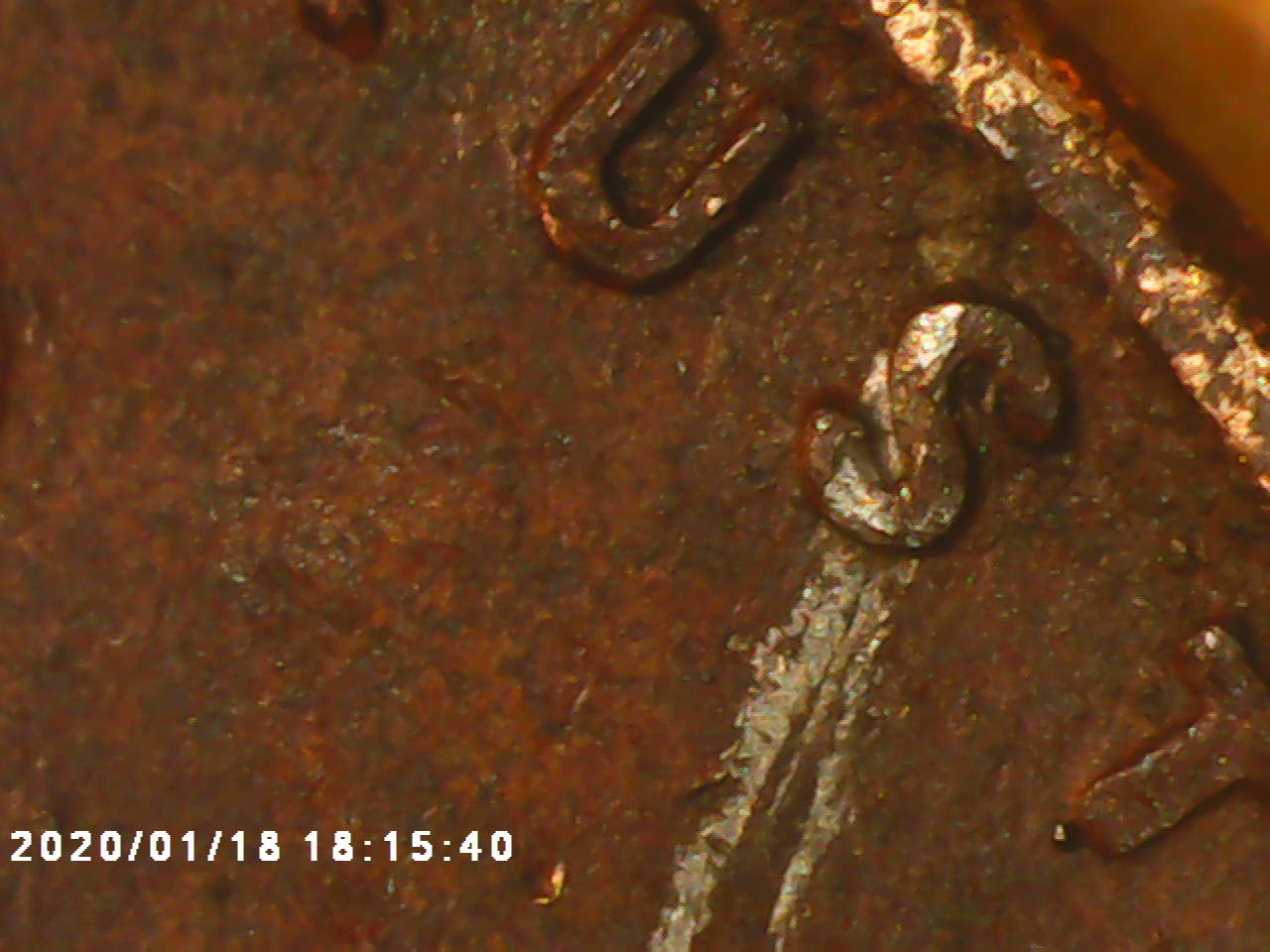1955-Red-Penny.-As-Interesting-As-That-Might-Be-Why-Is-It-Red