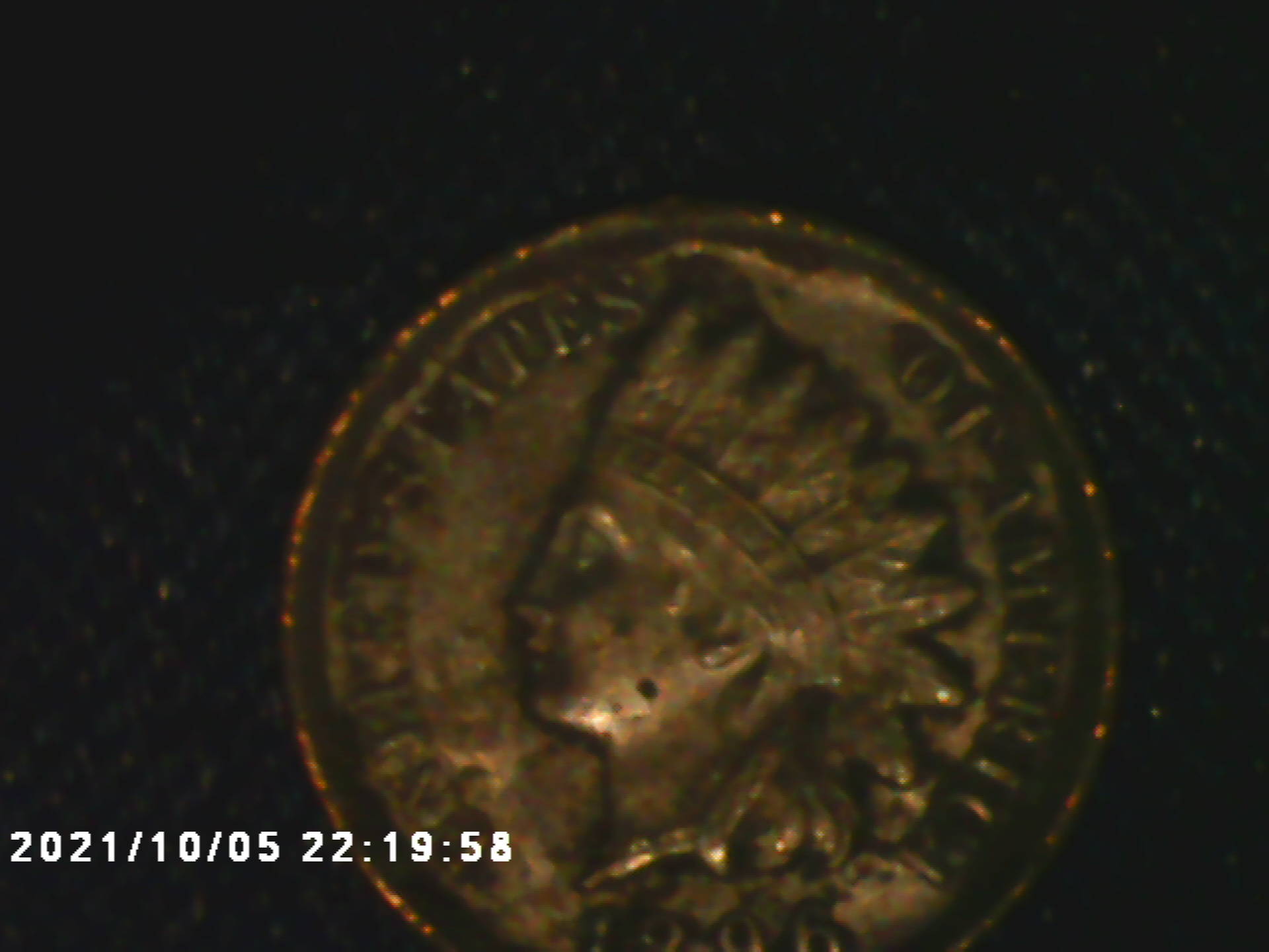 I-Found-And-Loved-This1896-Indian-Head