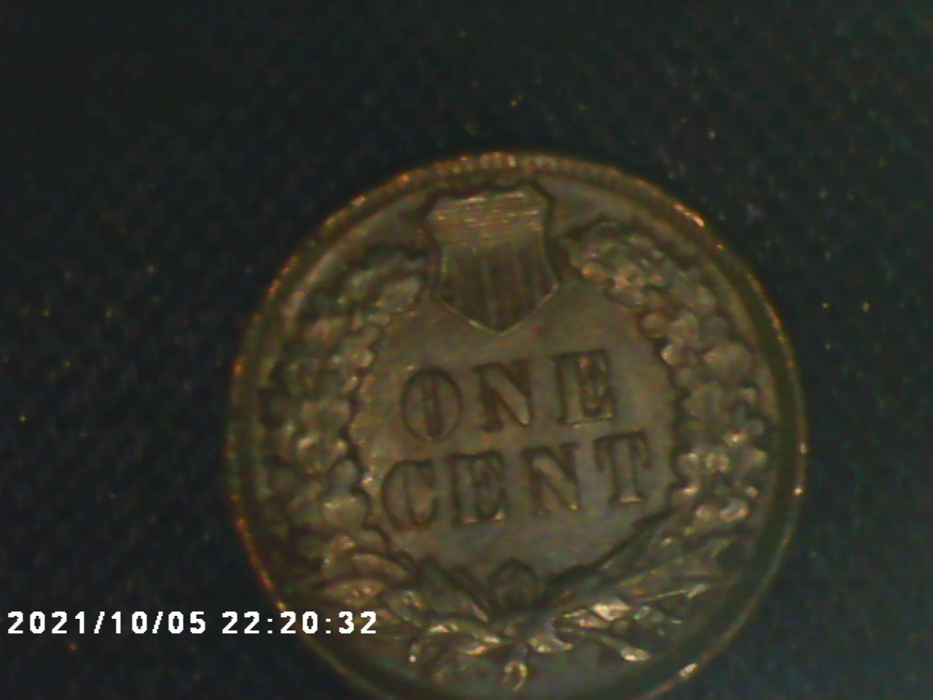 I-Found-And-Loved-This1896-Indian-Head