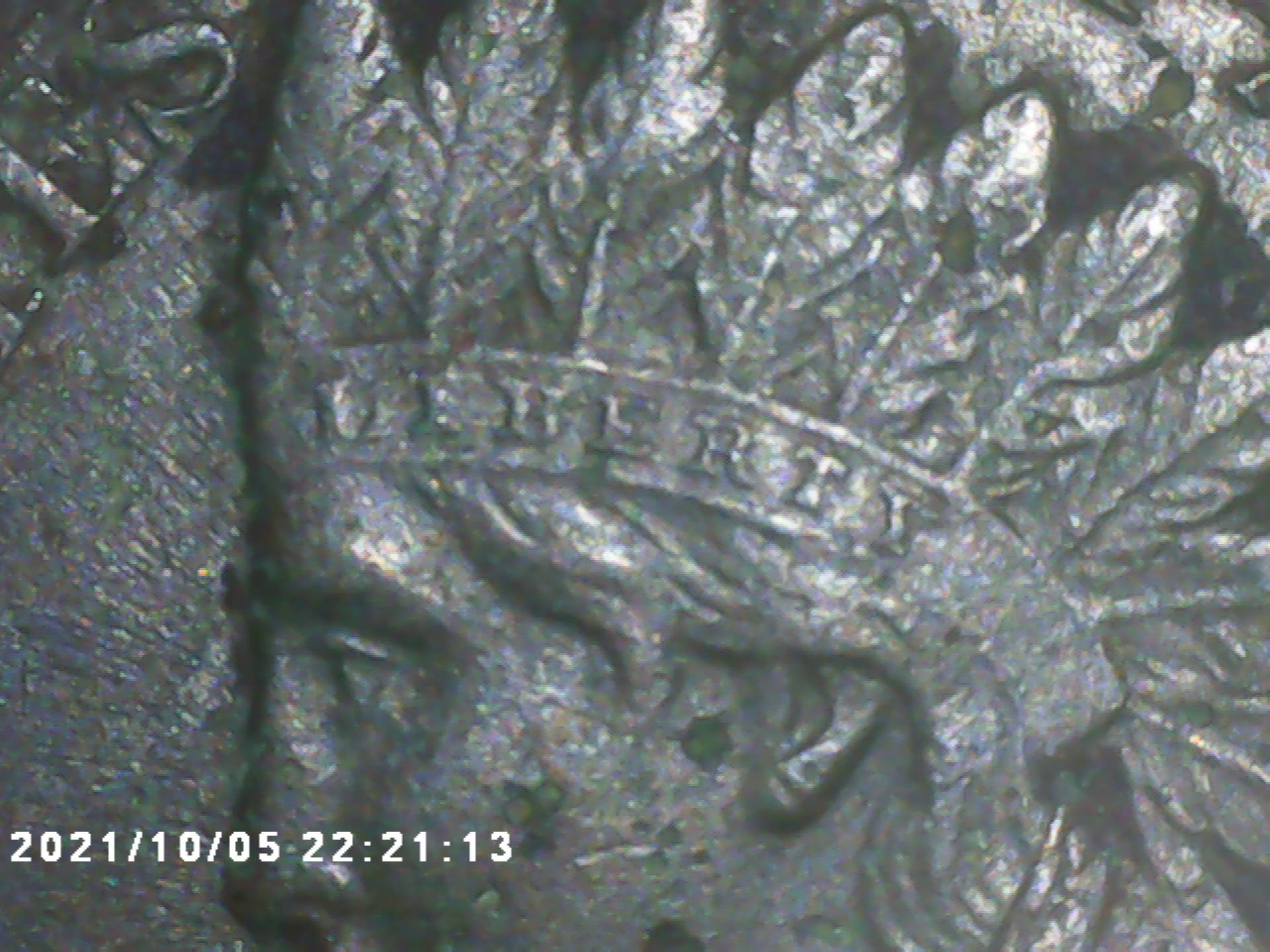 1896-Indian-Penny-Wouldn't-Know-How-To-Grade-This-One