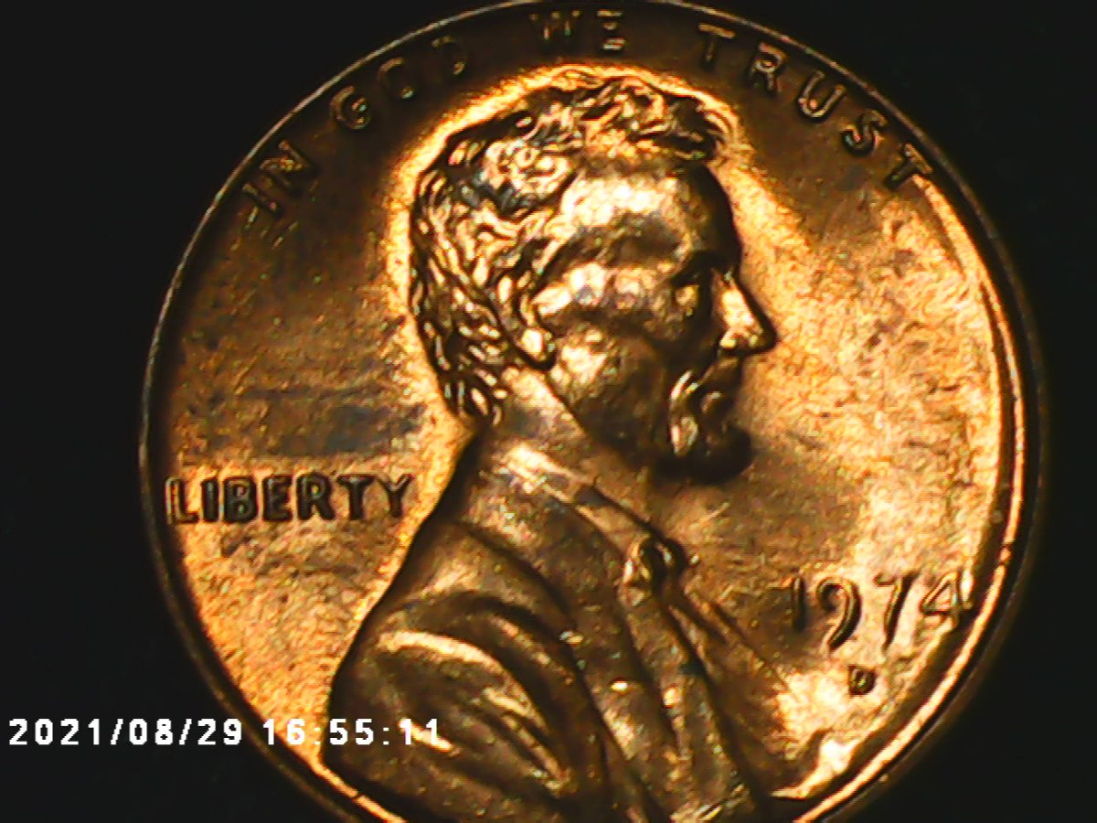 1974-D-MD-Or-DDO?-If-MD-Please-Explain