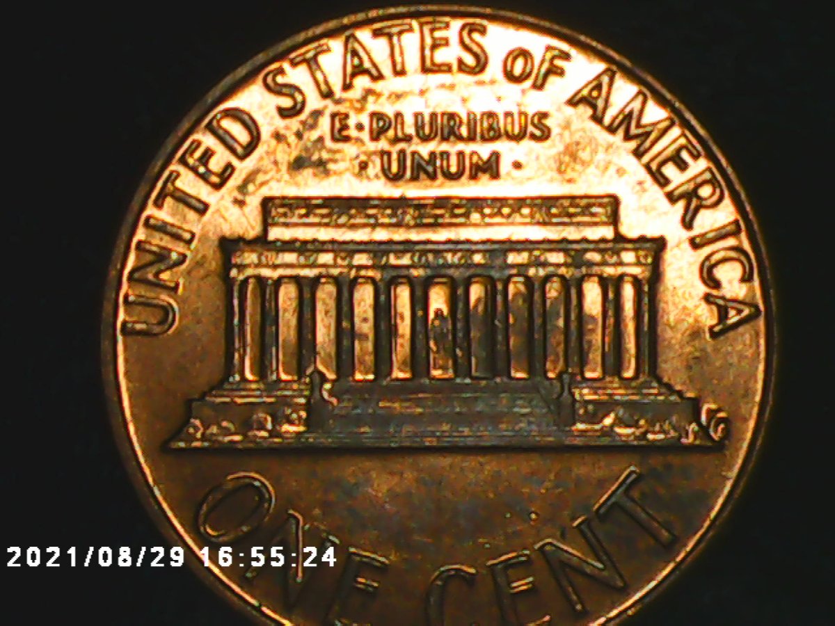 1974-D-MD-Or-DDO?-If-MD-Please-Explain