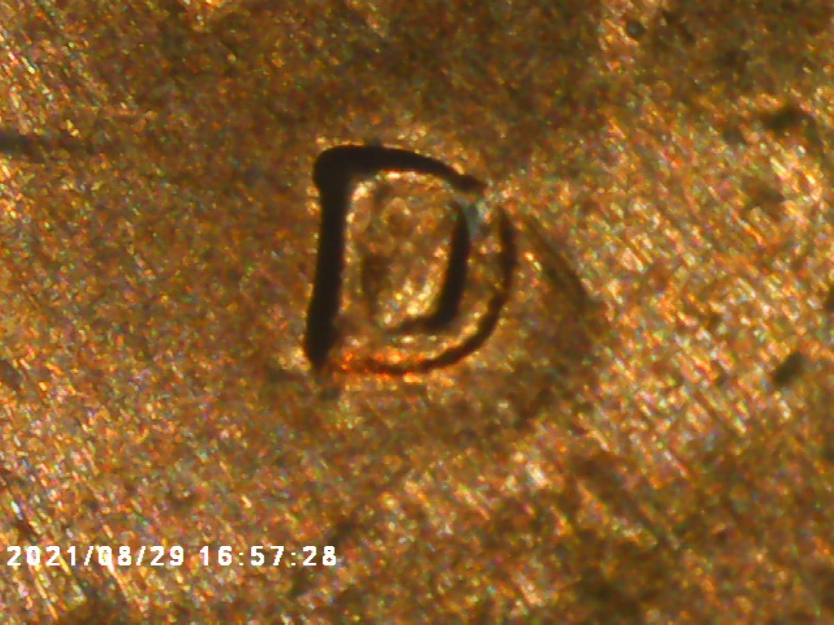 1974-D-MD-Or-DDO?-If-MD-Please-Explain