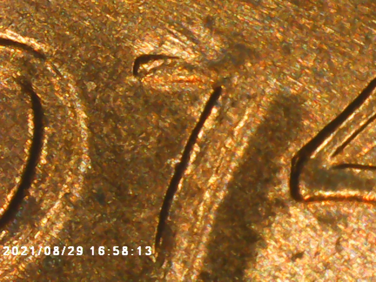 1974-D-MD-Or-DDO?-If-MD-Please-Explain
